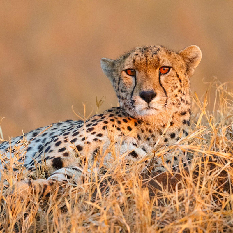 tanzania safari prices