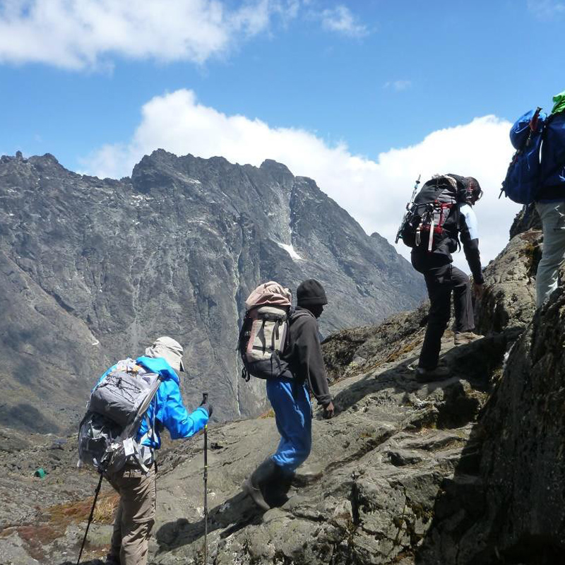 rwenzori