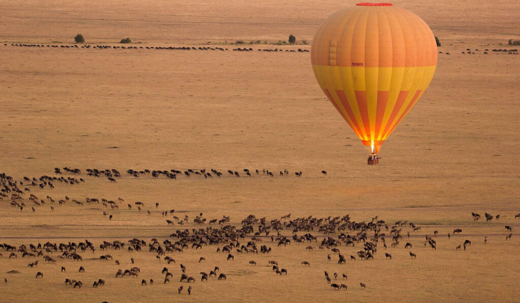 Tanzanian Safari