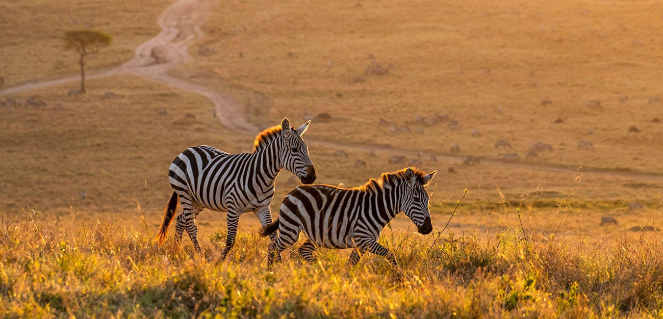 When Is the Best Time to Travel to Tanzania?