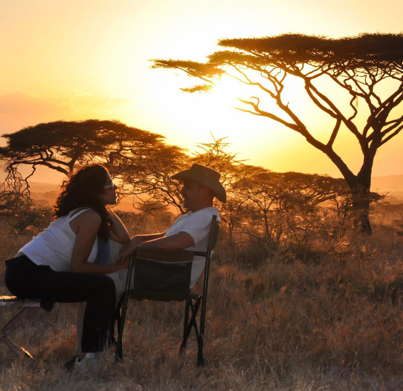 luxury african safari packages best african safari companies