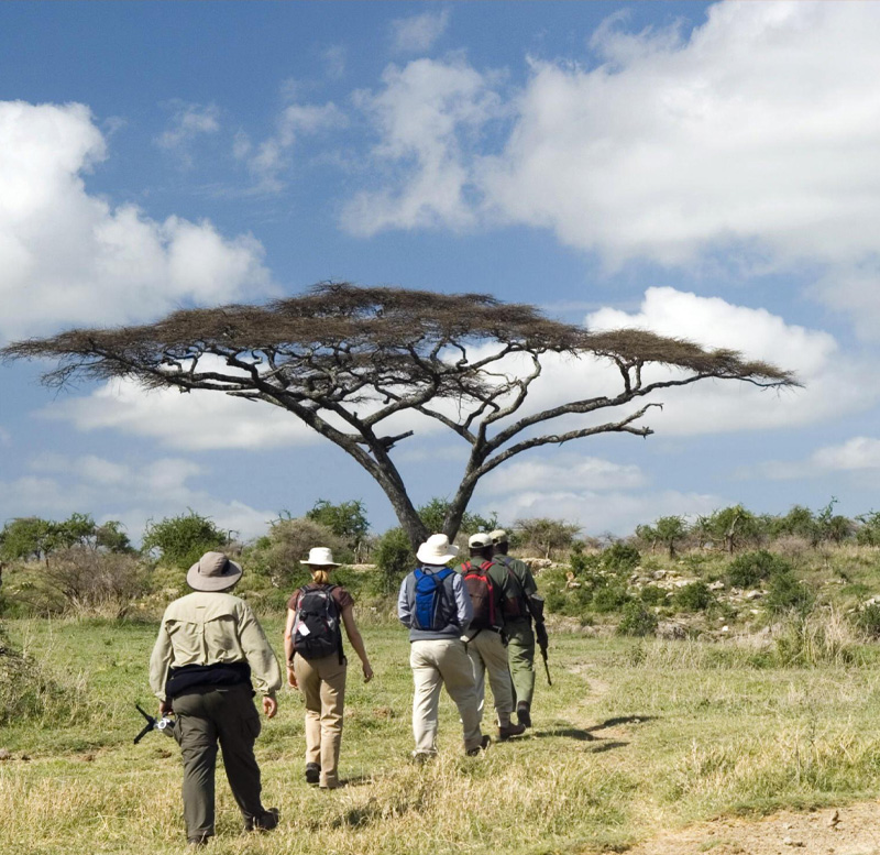 african safari package holidays best luxury african safari tours