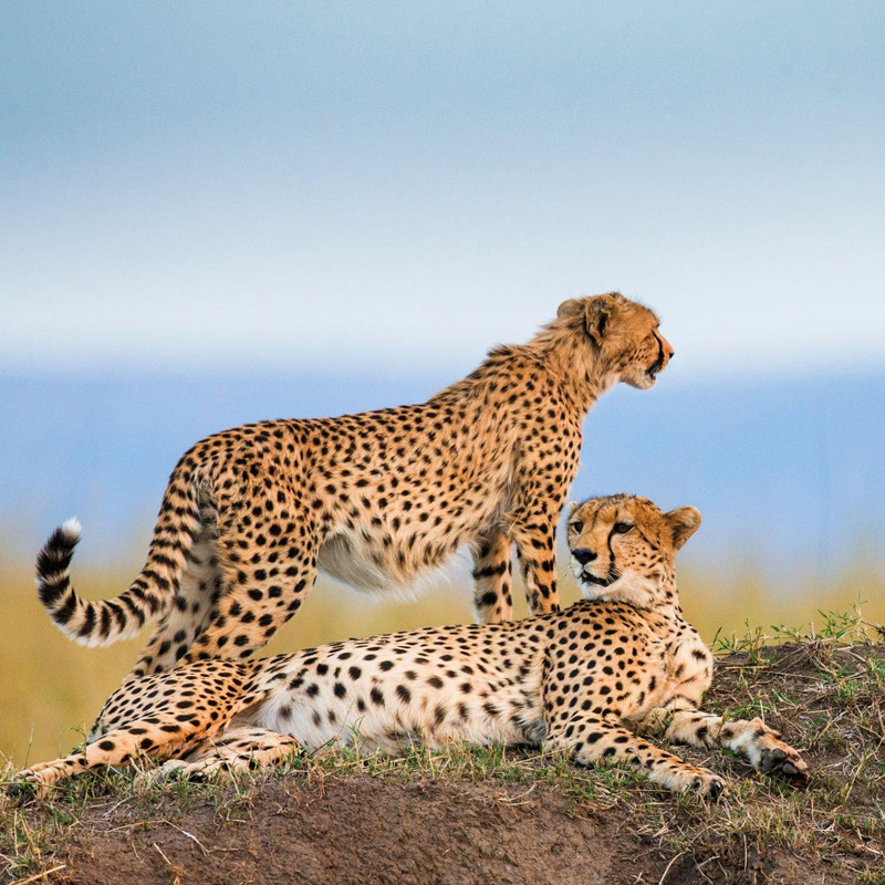 When is the Best Time to Travel to Tanzania?