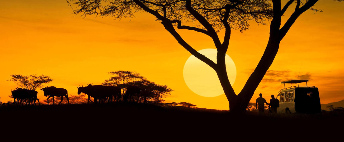 Tanzania Safari Activities