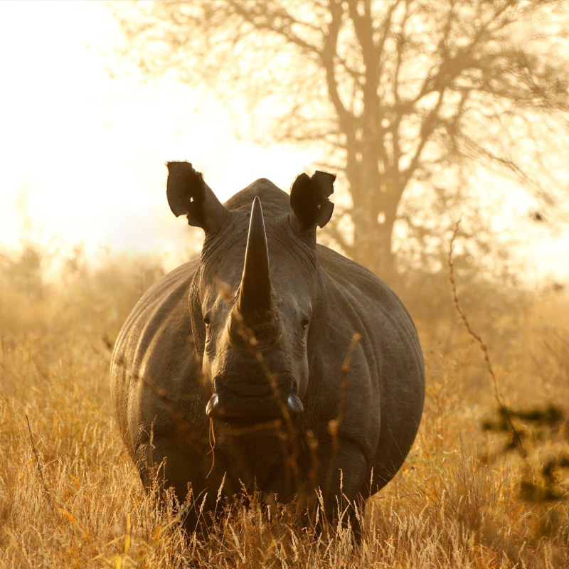safaris in tanzania pricing
