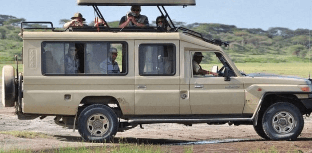Tanzania safari activities