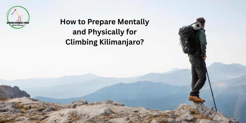 Kilimanjaro trekking packages