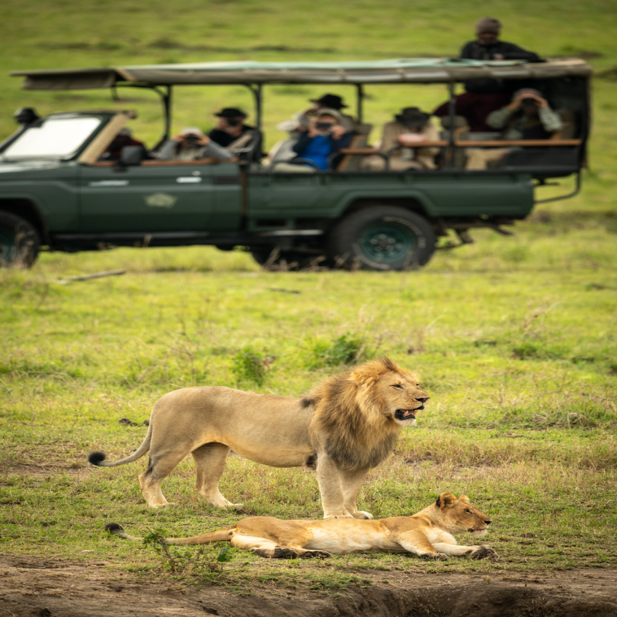 safari tanzania cost