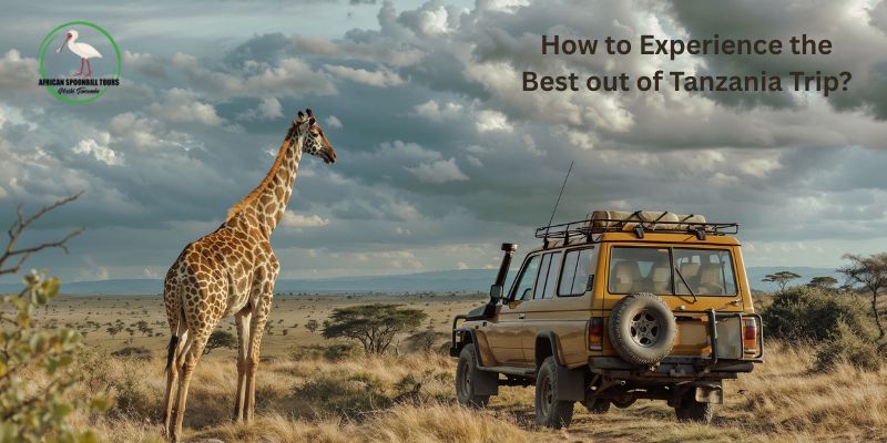 Serengeti tours