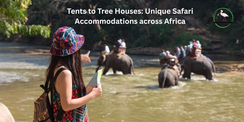 africa safari holidays