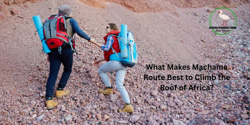 climb mount kilimanjaro